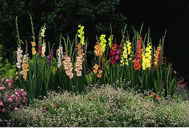 《黑神话：悟空》每章都以独特动画结束 引发国外同行称赞